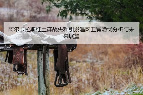 a-er-ka-la-si-hong-tu-lian-zhan-shi-li-yin-fa-wen-wang-wei-mian-yin-you-fen-xi-yu-wei-lai-zhan-wang-2-148.jpg