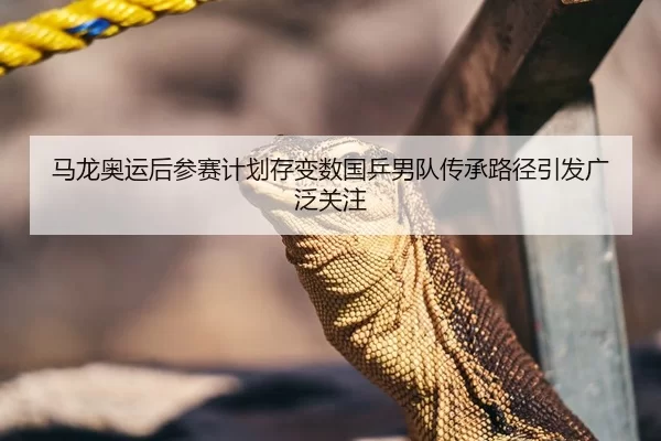 马龙奥运后参赛计划存变数国乒男队传承路径引发广泛关注