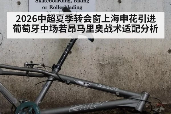 2026中超夏季转会窗上海申花引进葡萄牙中场若昂马里奥战术适配分析
